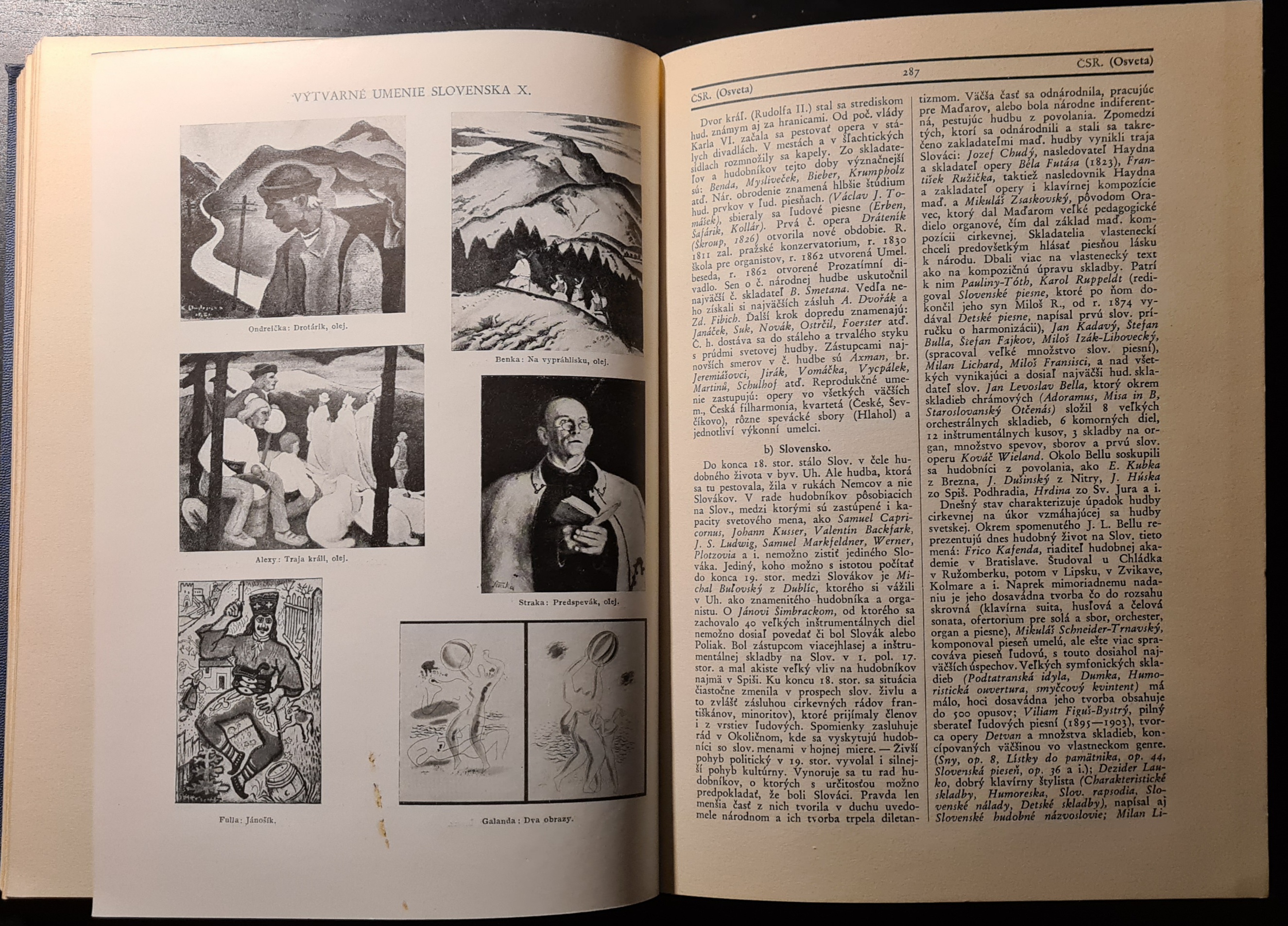 Slovenský náučný slovník I.