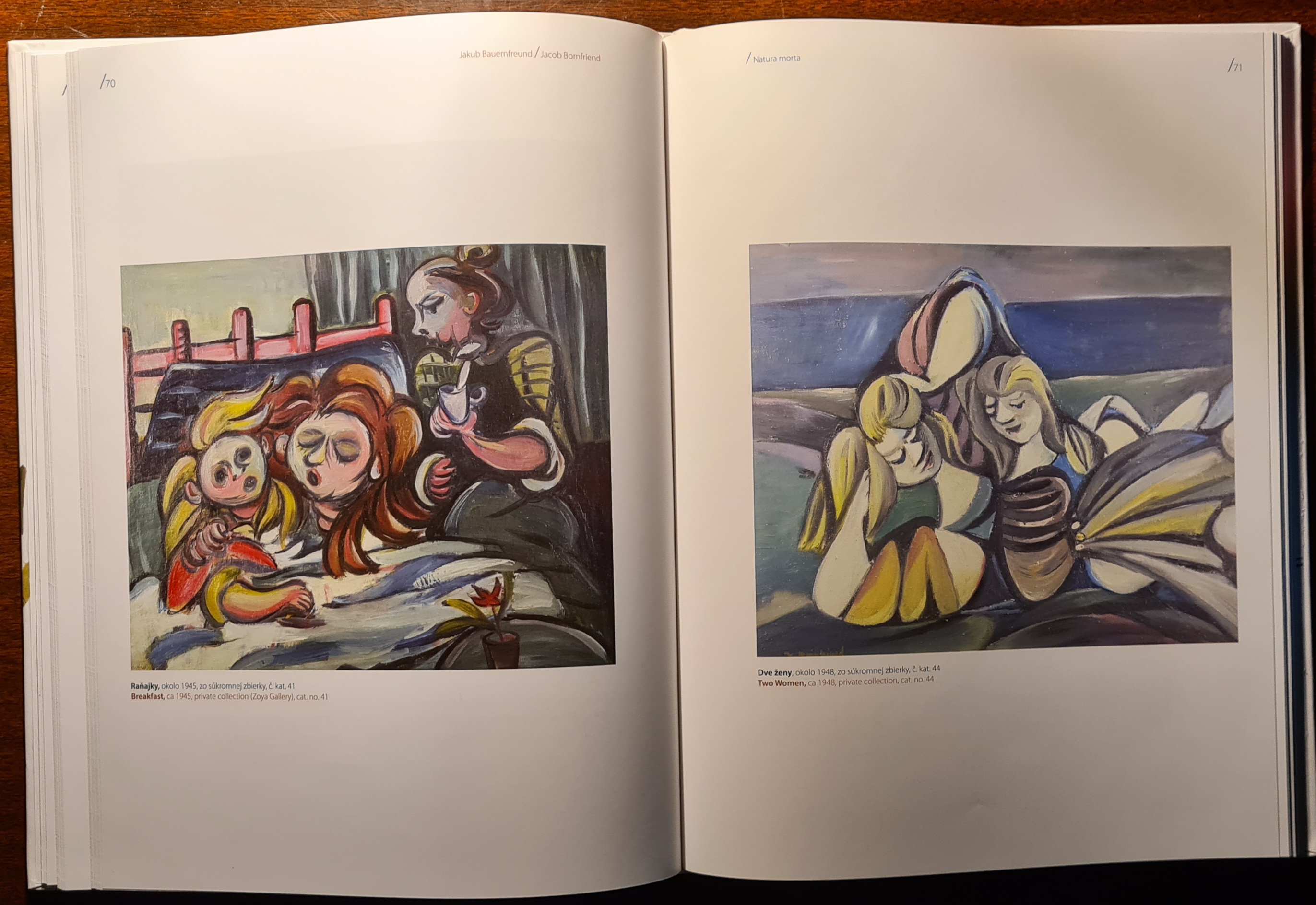 Jakub Bauernfreund / Natura Morta