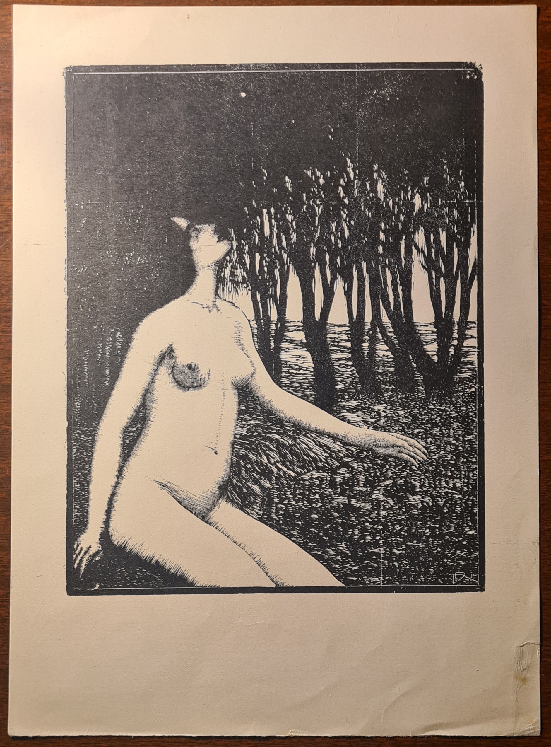 Žena (cyklus dřevorytů)