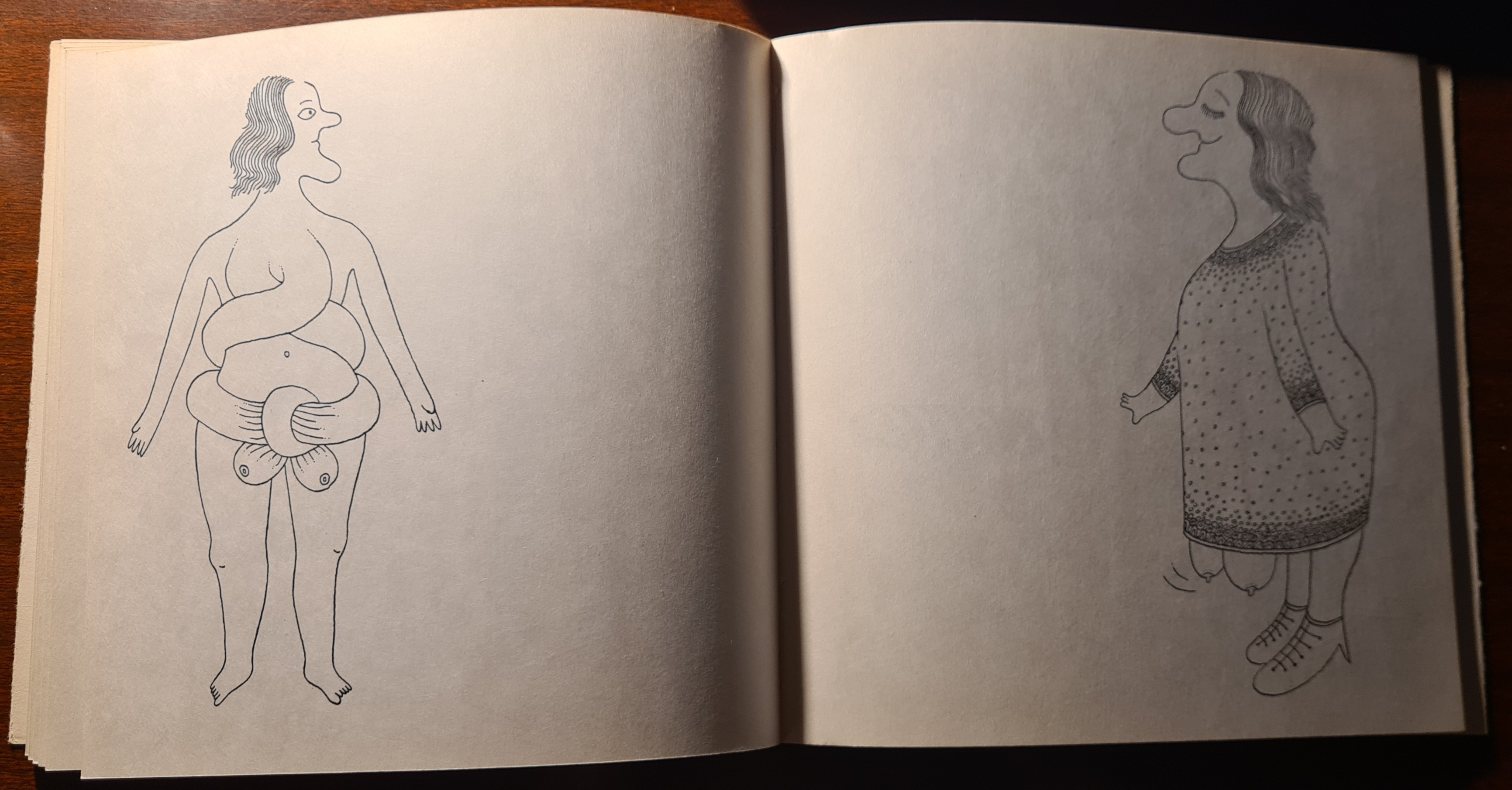 Recesník Mariána Vaneka