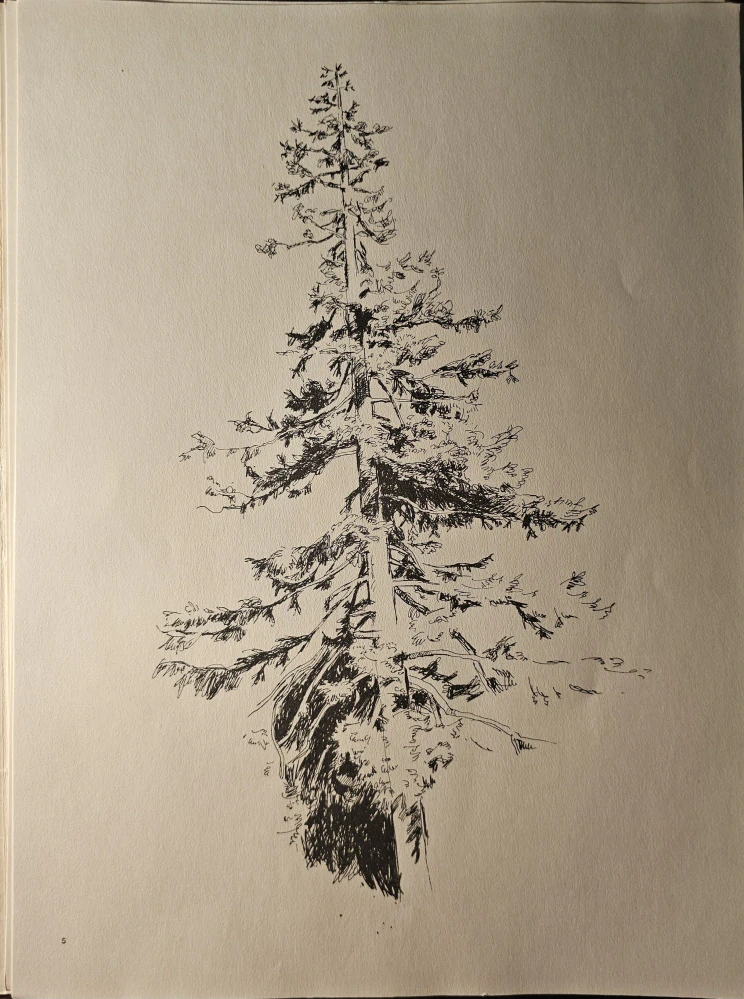 Emil Makovický: Vývraty