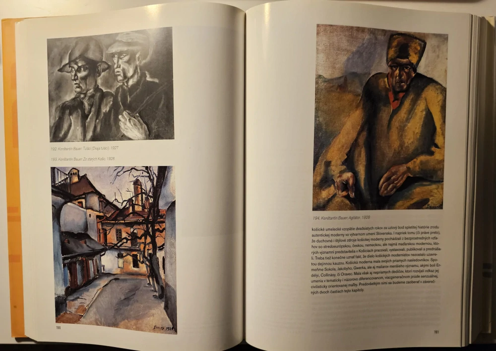 Výtvarná moderna Slovenska /Maliarstvo a sochárstvo 1890-1949/