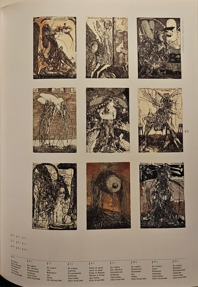 Dušan Kállay: Magický svet/Magical World