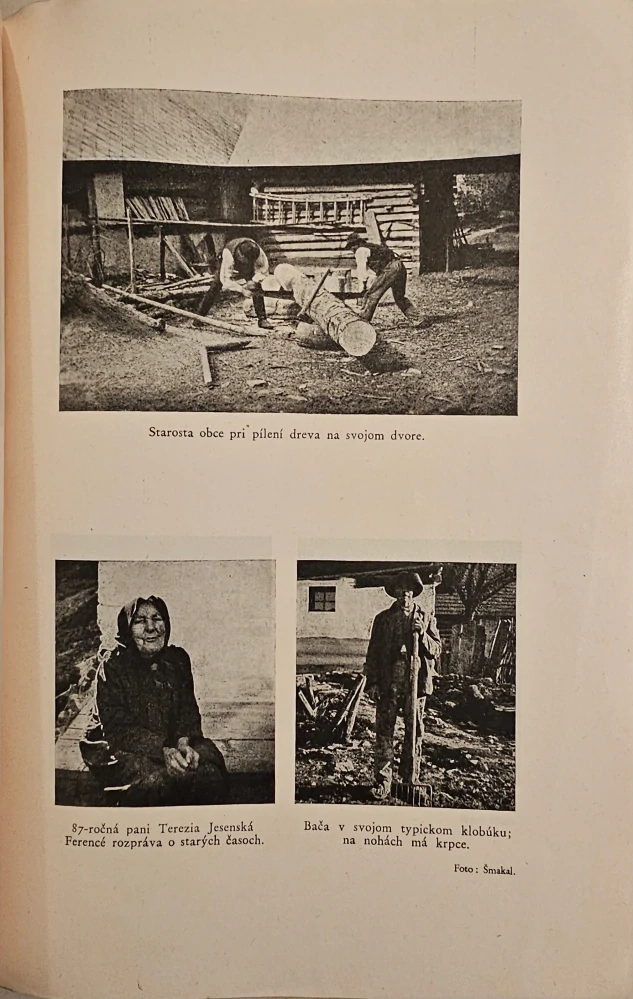 Integrálna dedina (Štúdia slovenskej zemianskej dediny v Turci) 