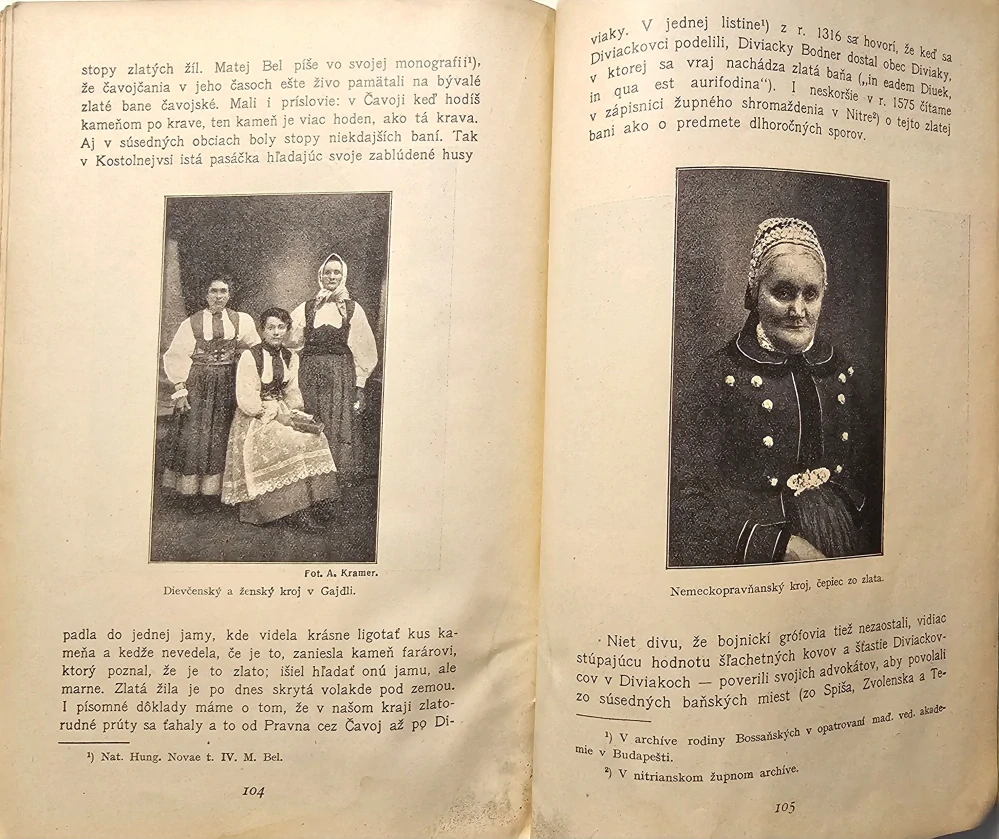 Bojnice a ich okolie (Monografia)