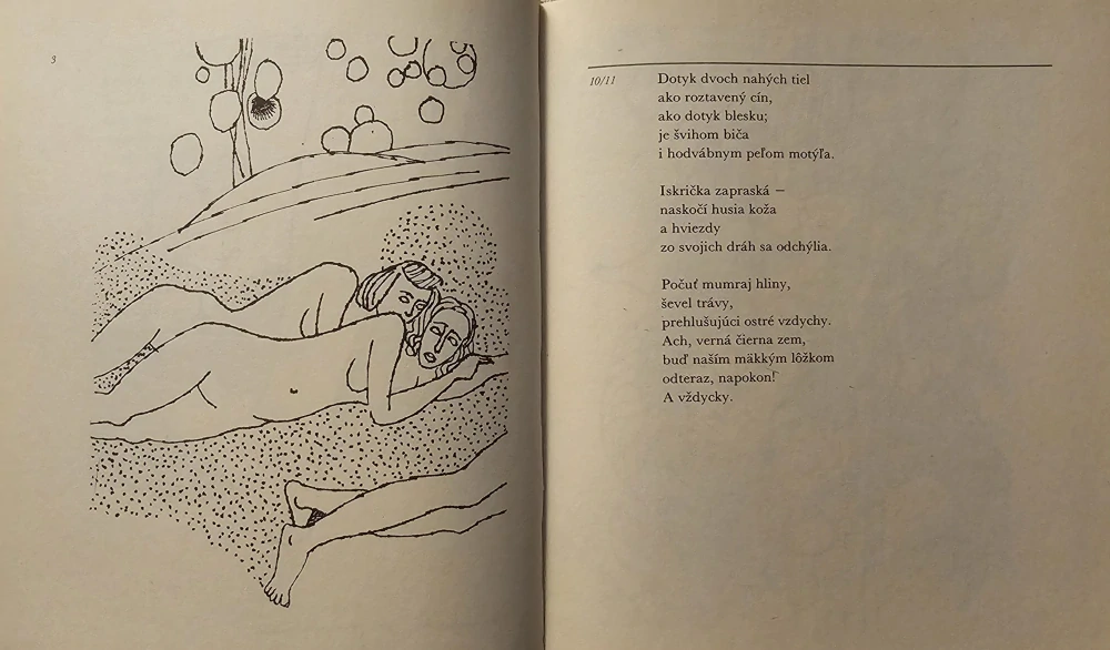 Za letokruhom letokruh