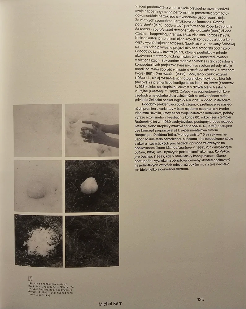 Seriálnosť a repetícia v slovenskom vizuálnom umení