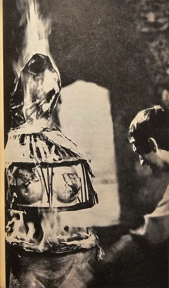 Panna zázračnica (Literárny scenár)