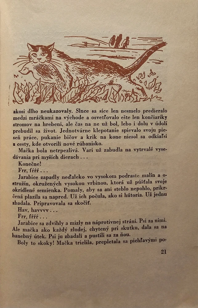 Mačkine dobrodružstvá (a iné rozprávky)
