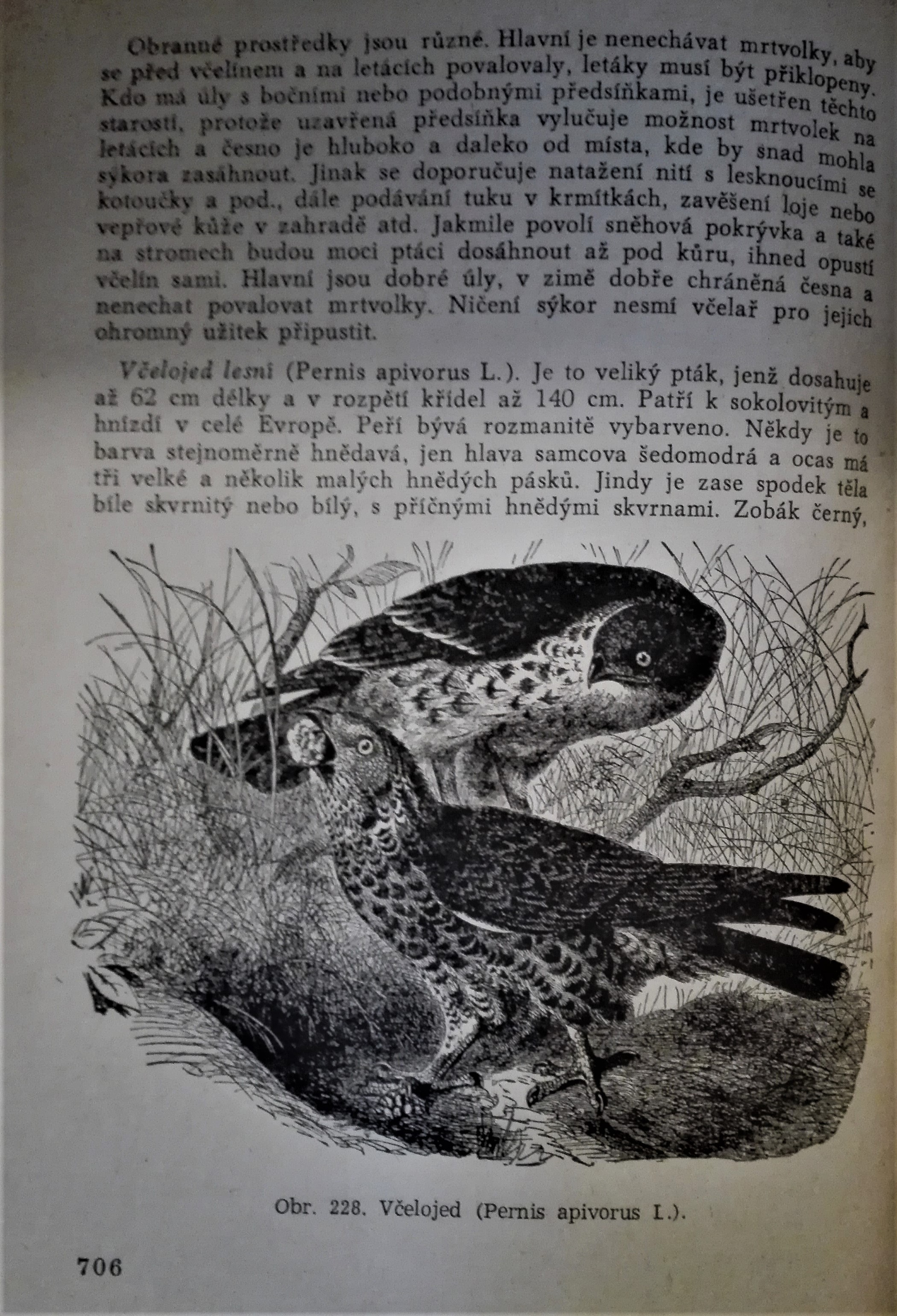 Včelařská encyklopedie