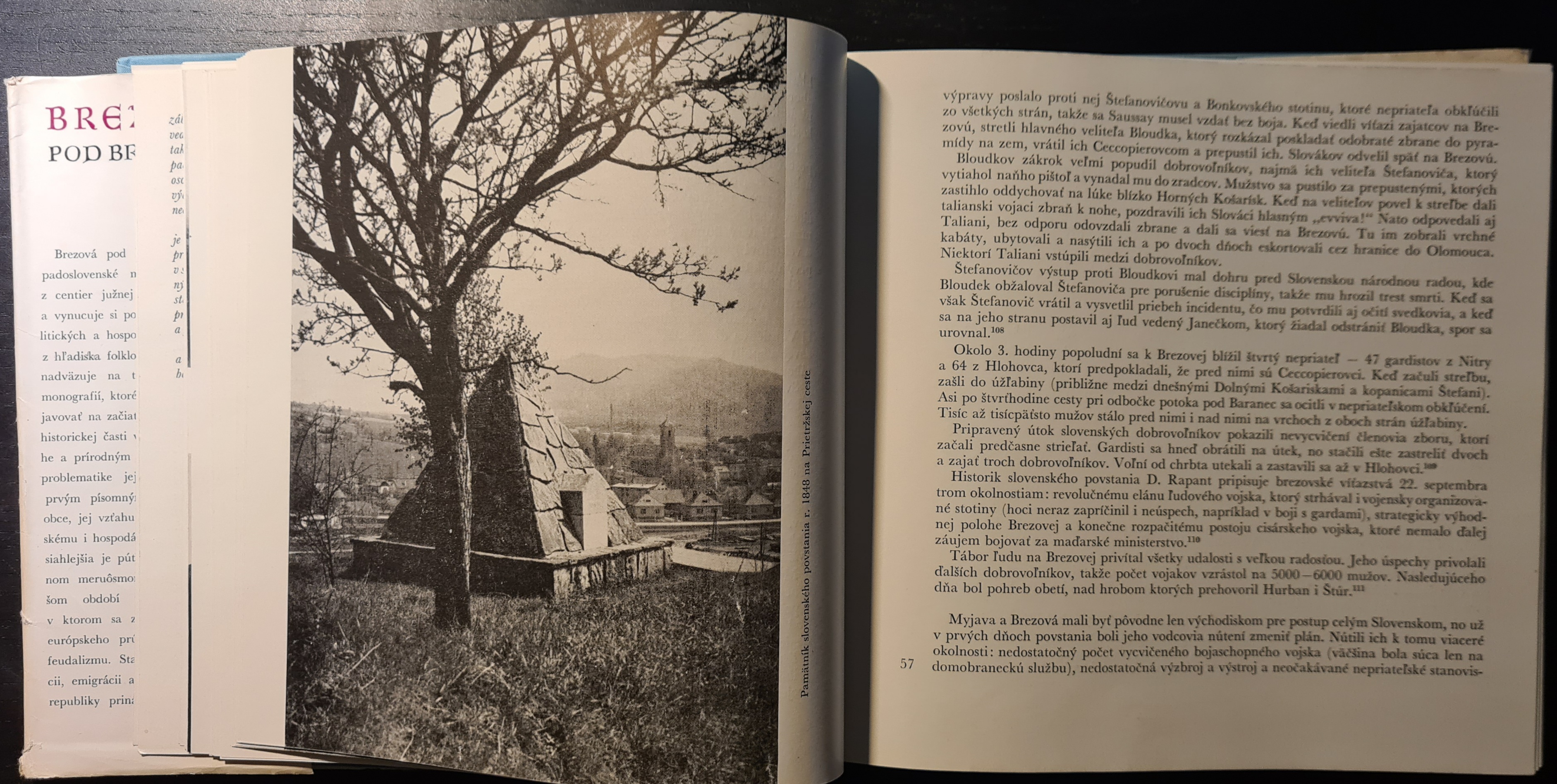 Brezová pod Bradlom