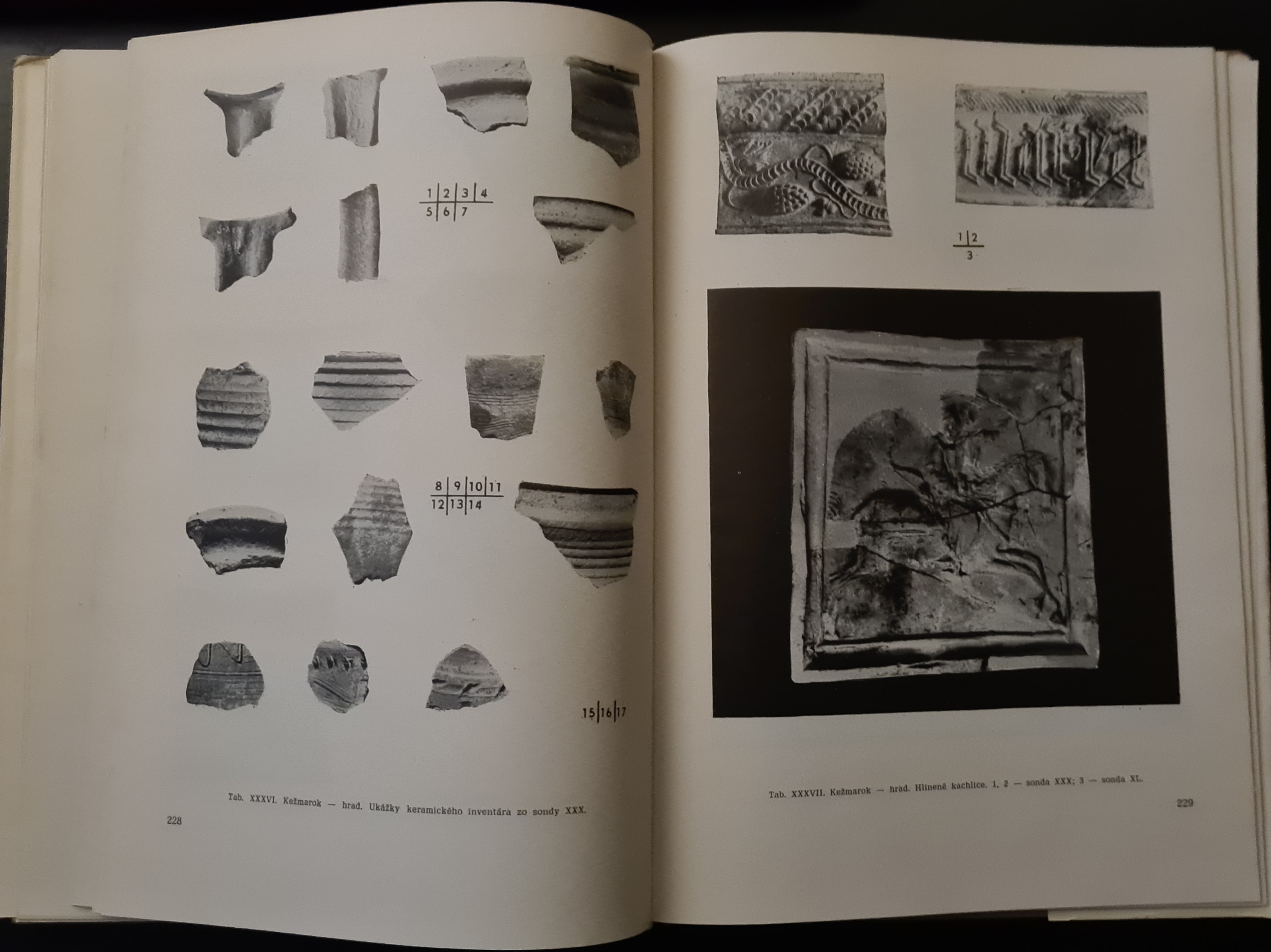 Kežmarok (Výsledky historickoarcheologického výskumu)