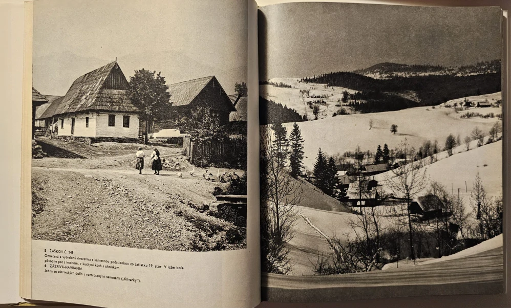 Čaro kresaného dreva (Ľudová architektúra Oravy)