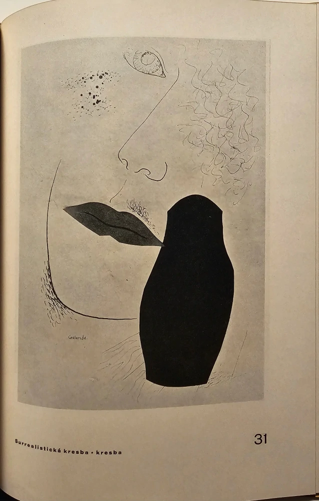 Mikuláš Galanda (Monografia o slovenskom modernom maliarovi)