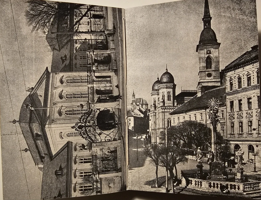 Bratislava (z jej dejín a osudov)