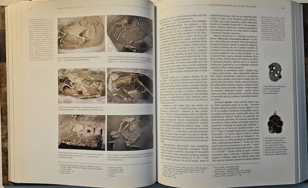 Dejiny Bratislavy (1.) Od počiatkov do prelomu 12. a 13. storočia 