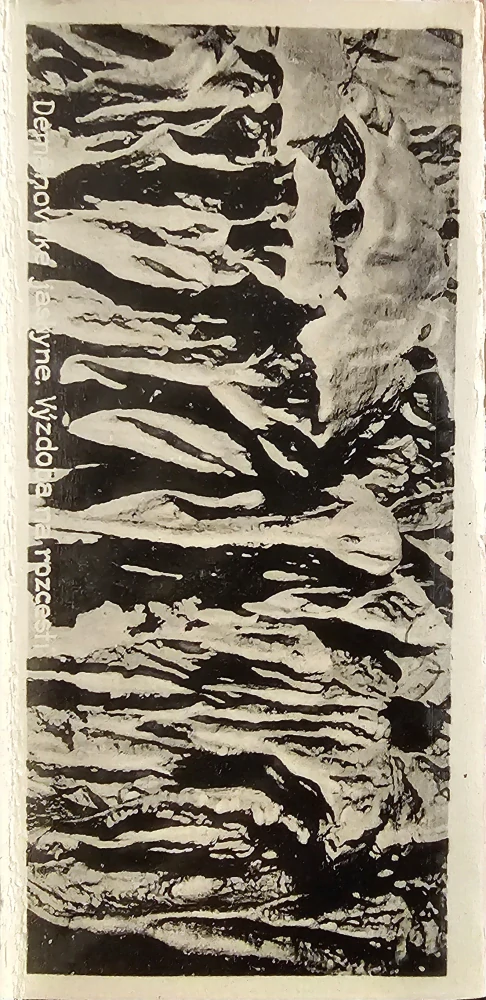 Demänovské jaskyne