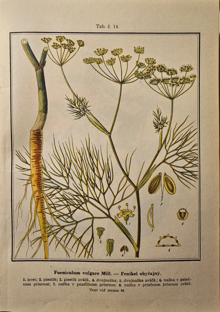 Slovenský herbár I. - II.