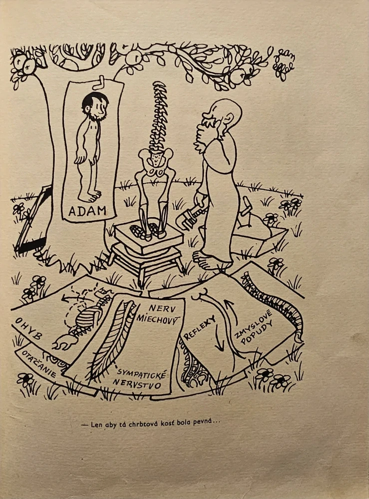 Stvorenie človeka/Stvorenie sveta