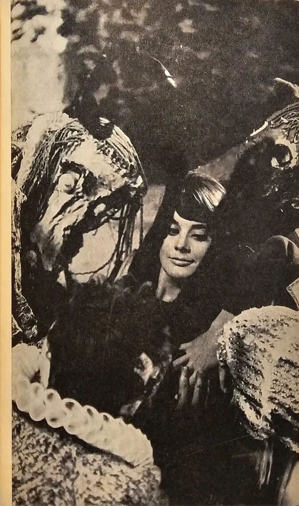 Panna zázračnica (Literárny scenár)