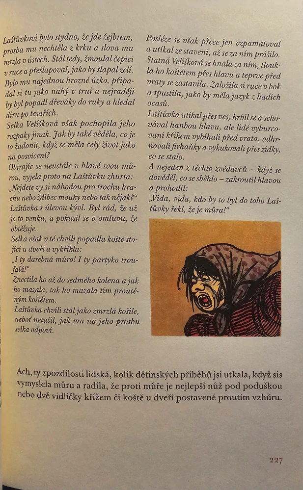 Bubáci aneb Malý přírodopis duchů, přízraků a strašidel