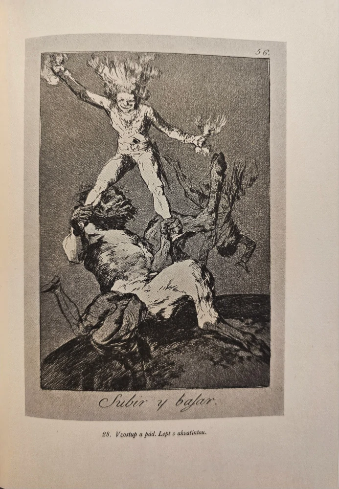 Francisco de Goya y Lucientes