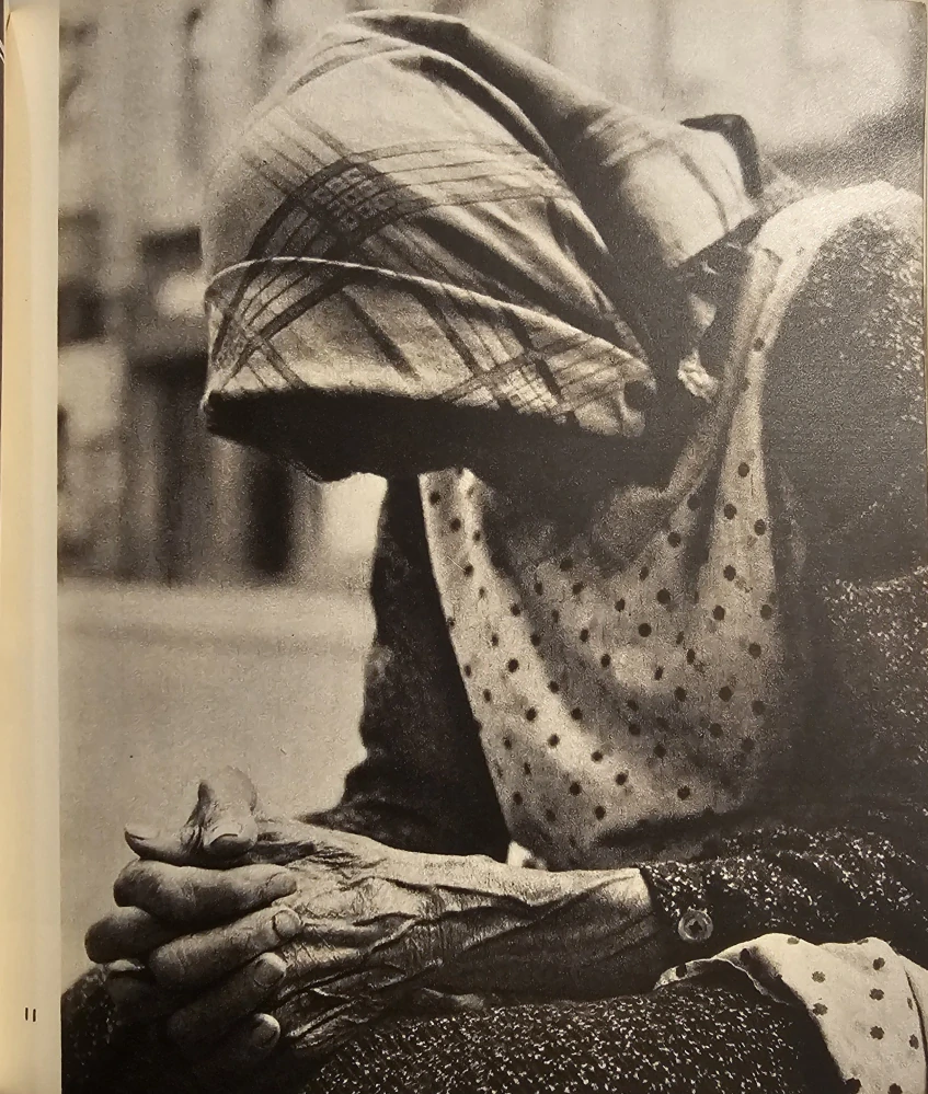 Magdaléna Robinsonová