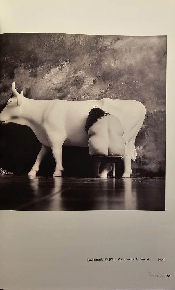 The Best of Jan Saudek