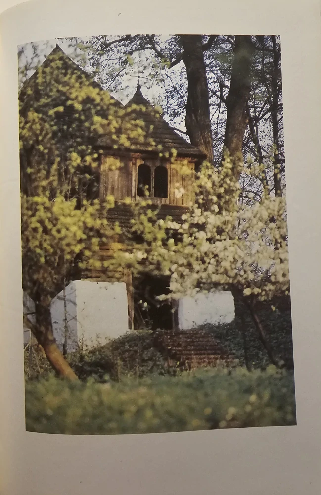 Leštiny