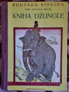 Kniha džungle