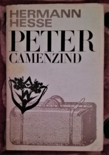 Peter Camenzind
