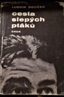 Cesta slepých ptáků