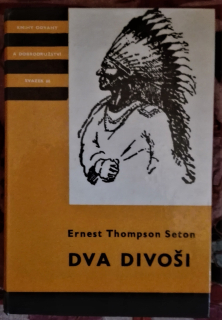 Dva divoši