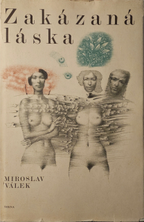 Zakázaná láska (I. vydanie)