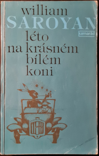 Léto na krásném bílém koni