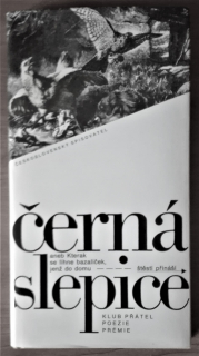 Černá slepice
